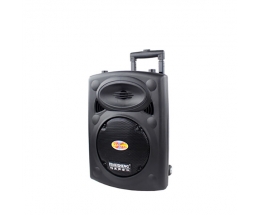 LOA KÉO TEMEISHENG DP-107