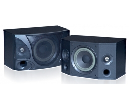 LOA RINTON RT-801