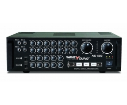 AMPLY WAVE YOUNG AS-502