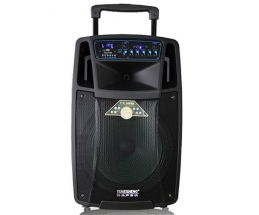 LOA KÉO TEMEISHENG SL-1501