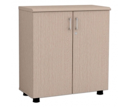 Tủ Tài Liệu NT880D